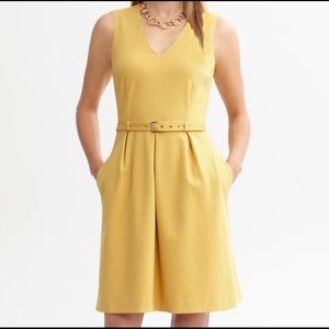 NWT Banana Republic Belted Dress in Amber Glow Size 16